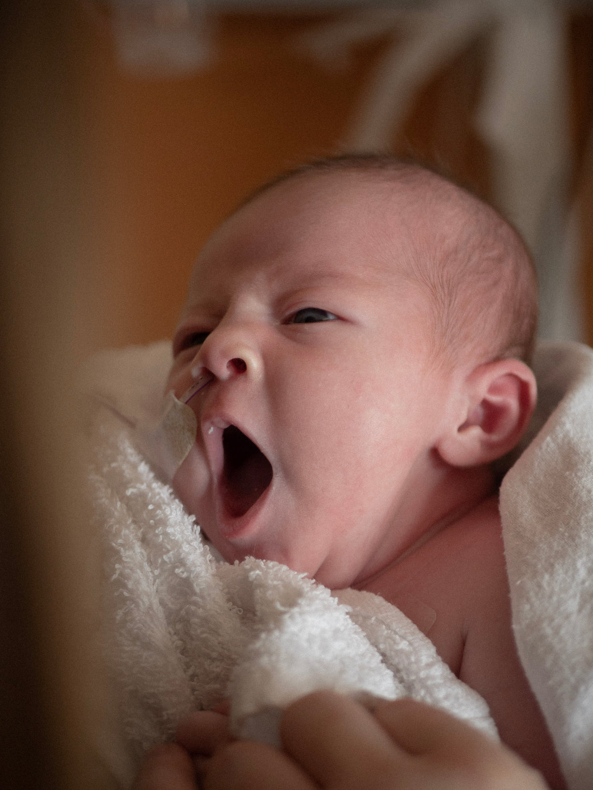 Newborn Lifestyle Sessions