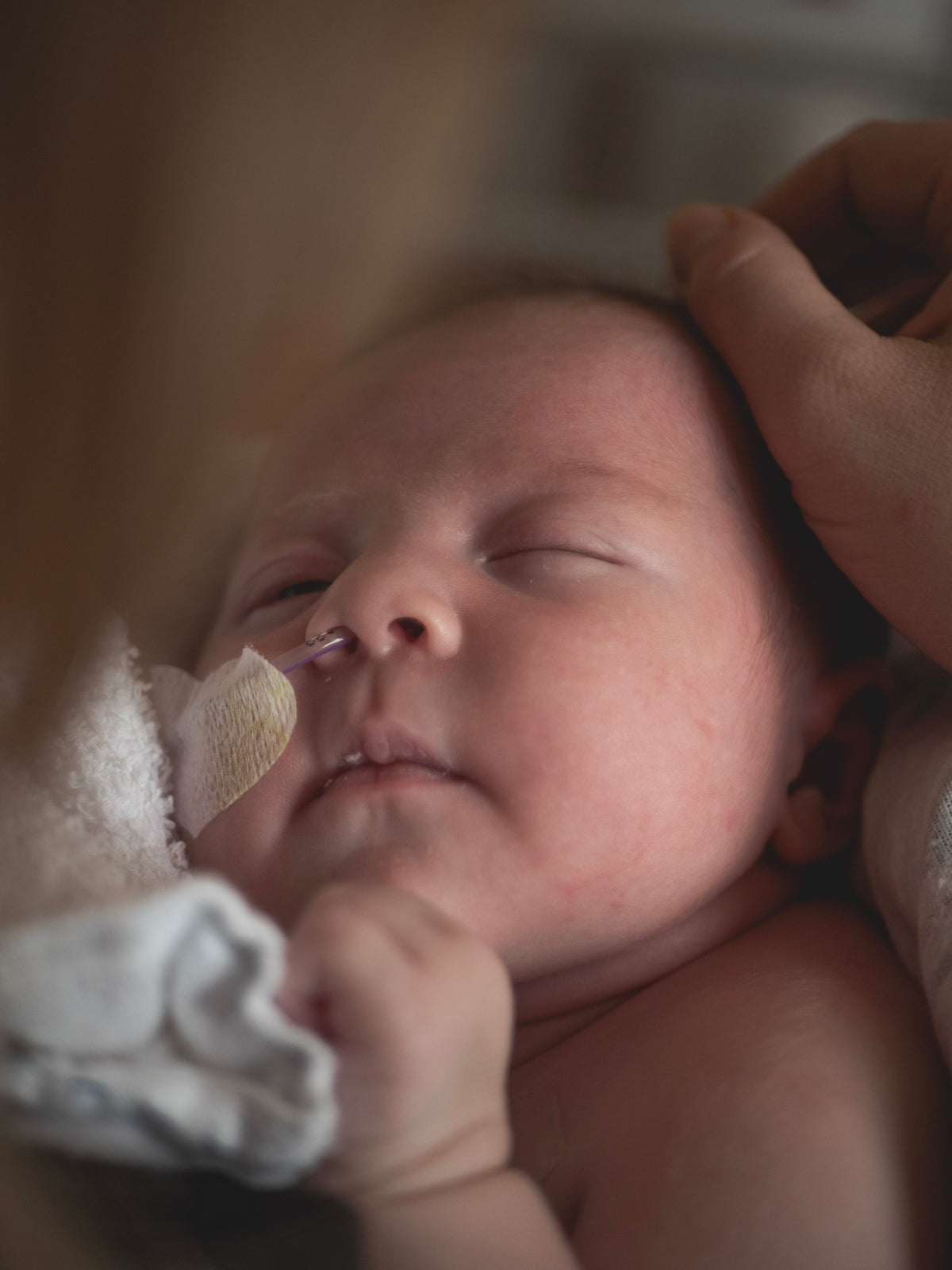 Newborn Lifestyle Sessions