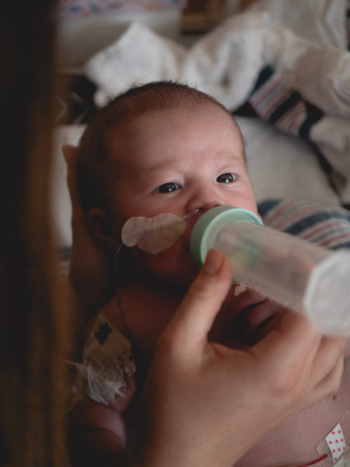 Newborn Lifestyle Sessions
